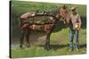 Giant Trout Strapped on Horse-null-Stretched Canvas