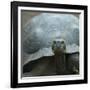 Giant Turtle, Galapagos Islands, Ecuador-javarman-Framed Photographic Print