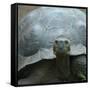 Giant Turtle, Galapagos Islands, Ecuador-javarman-Framed Stretched Canvas