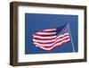 Giant US flag flying beneath a deep blue sky above Truman Avenue, Old Town-David Tomlinson-Framed Photographic Print