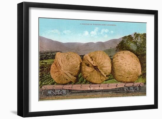 Giant Walnuts on Flatbed-null-Framed Art Print