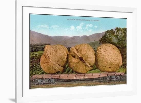 Giant Walnuts on Flatbed-null-Framed Art Print