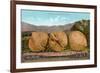 Giant Walnuts on Flatbed-null-Framed Art Print