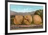 Giant Walnuts on Flatbed-null-Framed Art Print