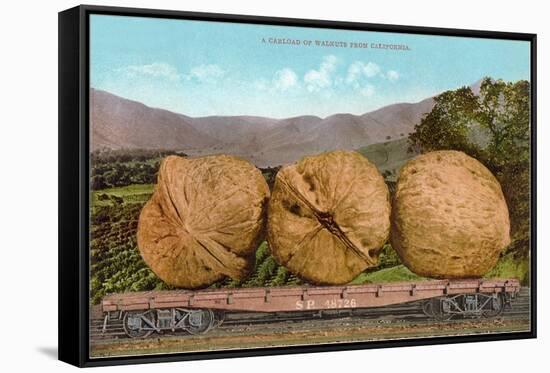 Giant Walnuts on Flatbed-null-Framed Stretched Canvas