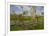 Giant Water Lilies Only Found in the Amazon on the Flood Plains-Mallorie Ostrowitz-Framed Photographic Print