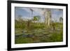 Giant Water Lilies Only Found in the Amazon on the Flood Plains-Mallorie Ostrowitz-Framed Photographic Print