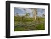 Giant Water Lilies Only Found in the Amazon on the Flood Plains-Mallorie Ostrowitz-Framed Photographic Print