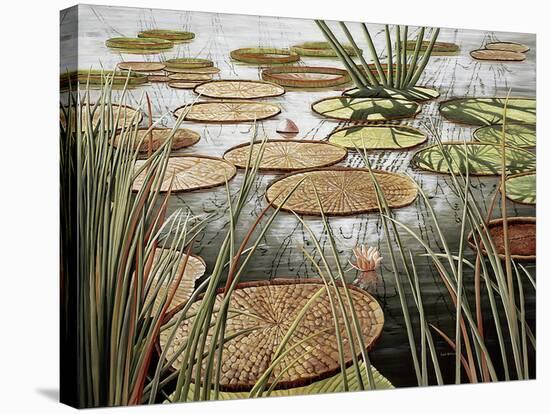Giant Water Lily-Julie Carlson-Stretched Canvas