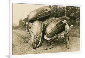 Giant Watermelons on Wagon-null-Framed Art Print