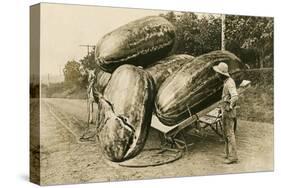 Giant Watermelons on Wagon-null-Stretched Canvas