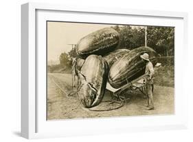 Giant Watermelons on Wagon-null-Framed Premium Giclee Print