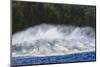 Giant wave breaking near 'Jaws' Maui North Shore, Hawaii, USA-Stuart Westmorland-Mounted Photographic Print