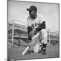 Giants Baseball Player Willy Mayes Playing Pepper at Phoenix Training Camp-Loomis Dean-Mounted Premium Photographic Print