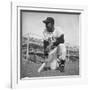 Giants Baseball Player Willy Mayes Playing Pepper at Phoenix Training Camp-Loomis Dean-Framed Premium Photographic Print