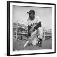 Giants Baseball Player Willy Mayes Playing Pepper at Phoenix Training Camp-Loomis Dean-Framed Premium Photographic Print