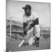 Giants Baseball Player Willy Mayes Playing Pepper at Phoenix Training Camp-Loomis Dean-Mounted Premium Photographic Print