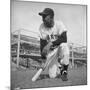 Giants Baseball Player Willy Mayes Playing Pepper at Phoenix Training Camp-Loomis Dean-Mounted Premium Photographic Print