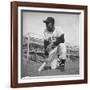 Giants Baseball Player Willy Mayes Playing Pepper at Phoenix Training Camp-Loomis Dean-Framed Premium Photographic Print