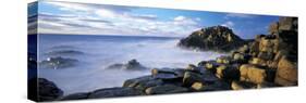 Giants Causeway, Northern Ireland-Peter Adams-Stretched Canvas