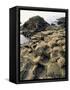 Giants Causeway, Unesco World Heritage Site, County Antrim, Ulster, Northern Ireland-G Richardson-Framed Stretched Canvas