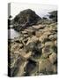 Giants Causeway, Unesco World Heritage Site, County Antrim, Ulster, Northern Ireland-G Richardson-Stretched Canvas