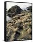 Giants Causeway, Unesco World Heritage Site, County Antrim, Ulster, Northern Ireland-G Richardson-Framed Stretched Canvas