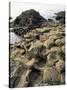 Giants Causeway, Unesco World Heritage Site, County Antrim, Ulster, Northern Ireland-G Richardson-Stretched Canvas