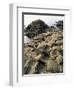 Giants Causeway, Unesco World Heritage Site, County Antrim, Ulster, Northern Ireland-G Richardson-Framed Photographic Print