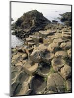 Giants Causeway, Unesco World Heritage Site, County Antrim, Ulster, Northern Ireland-G Richardson-Mounted Photographic Print