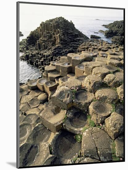 Giants Causeway, Unesco World Heritage Site, County Antrim, Ulster, Northern Ireland-G Richardson-Mounted Photographic Print