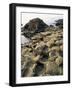 Giants Causeway, Unesco World Heritage Site, County Antrim, Ulster, Northern Ireland-G Richardson-Framed Photographic Print