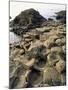 Giants Causeway, Unesco World Heritage Site, County Antrim, Ulster, Northern Ireland-G Richardson-Mounted Photographic Print