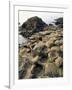 Giants Causeway, Unesco World Heritage Site, County Antrim, Ulster, Northern Ireland-G Richardson-Framed Photographic Print