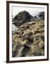 Giants Causeway, Unesco World Heritage Site, County Antrim, Ulster, Northern Ireland-G Richardson-Framed Photographic Print