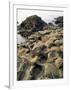 Giants Causeway, Unesco World Heritage Site, County Antrim, Ulster, Northern Ireland-G Richardson-Framed Photographic Print