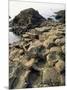 Giants Causeway, Unesco World Heritage Site, County Antrim, Ulster, Northern Ireland-G Richardson-Mounted Photographic Print