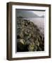 Giants Causeway, Unesco World Heritage Site, County Antrim, Ulster, Northern Ireland-G Richardson-Framed Photographic Print