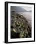 Giants Causeway, Unesco World Heritage Site, County Antrim, Ulster, Northern Ireland-G Richardson-Framed Photographic Print