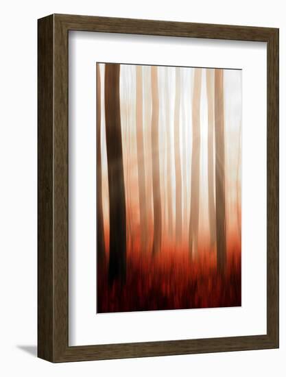 Giants in the Mist-Philippe Saint-Laudy-Framed Photographic Print