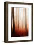 Giants in the Mist-Philippe Saint-Laudy-Framed Photographic Print