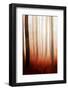 Giants in the Mist-Philippe Saint-Laudy-Framed Photographic Print