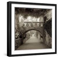 Giardini Italiano VI-Alan Blaustein-Framed Photographic Print