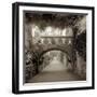 Giardini Italiano VI-Alan Blaustein-Framed Photographic Print