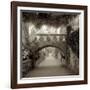 Giardini Italiano VI-Alan Blaustein-Framed Photographic Print