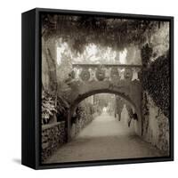 Giardini Italiano VI-Alan Blaustein-Framed Stretched Canvas