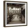 Giardini Italiano VI-Alan Blaustein-Framed Photographic Print