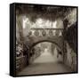 Giardini Italiano VI-Alan Blaustein-Framed Stretched Canvas