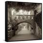 Giardini Italiano VI-Alan Blaustein-Framed Stretched Canvas