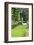 Giardino Bardini, Florence (Firenze), UNESCO World Heritage Site, Tuscany, Italy, Europe-Nico Tondini-Framed Photographic Print